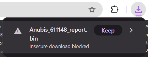 ReportDownloadChrome.png